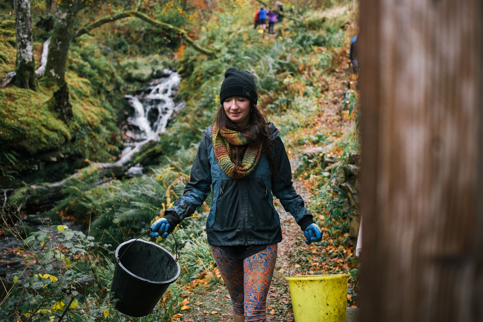 Tormore Forest