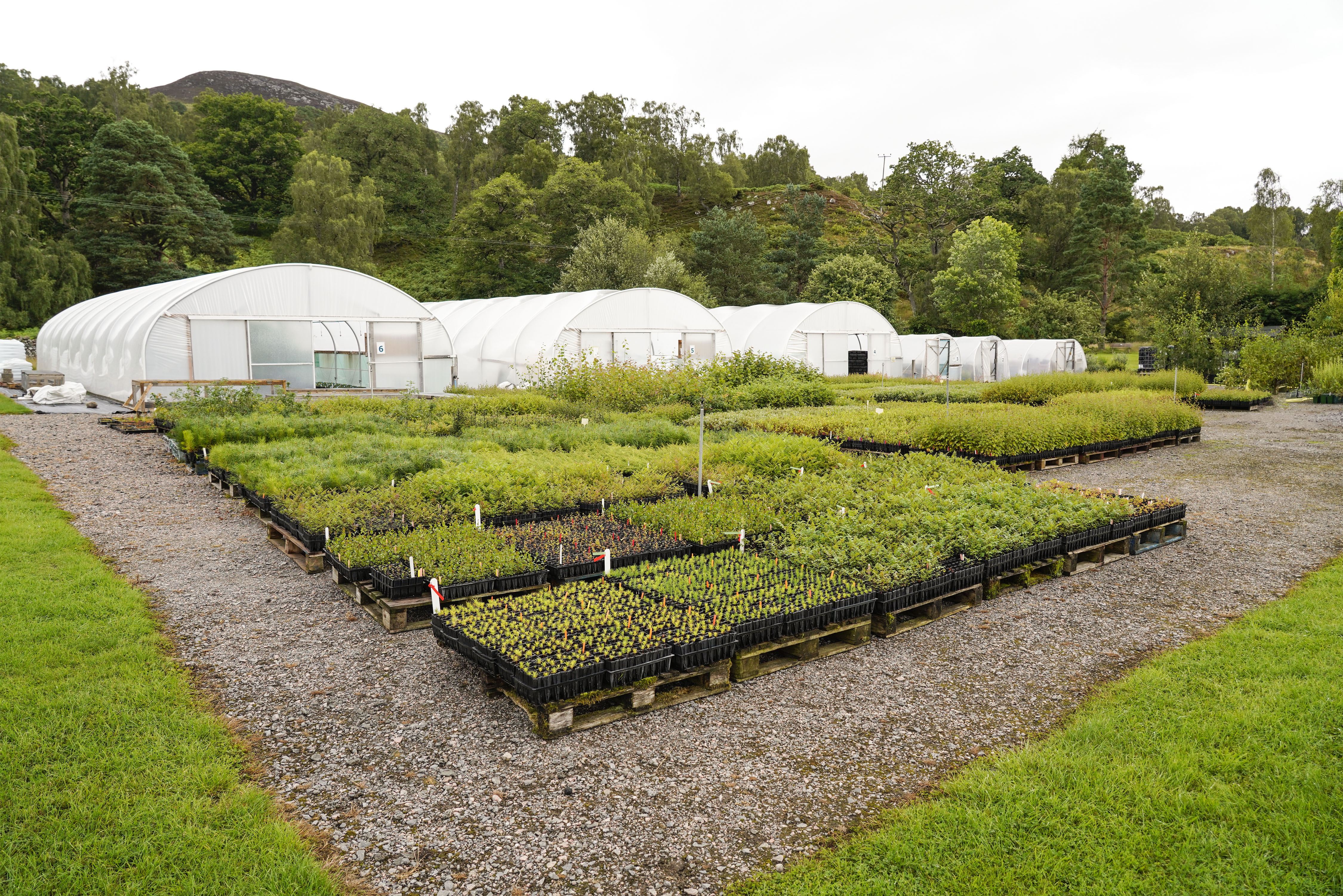 Dundreggan Rewilding Centre